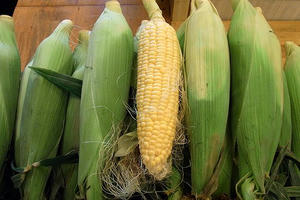 sweetcorn1.jpg