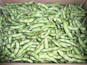 onchedamame2.jpg