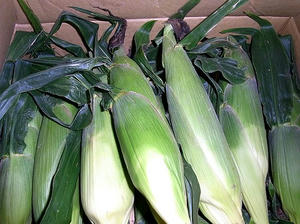 sweetcorn3.jpg