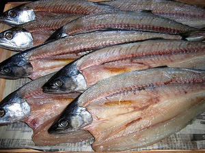 sawarahiraki.jpg