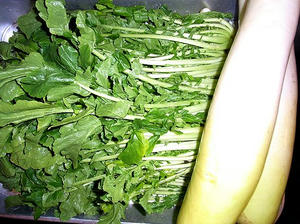 hatsukidaikon.jpg