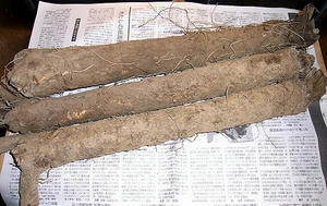 horikawagobou.jpg