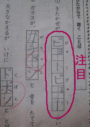 6b08388d.jpg