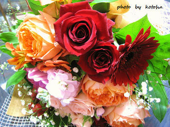 104962f7.jpg