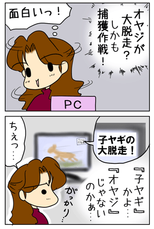 427a9fb7.GIF