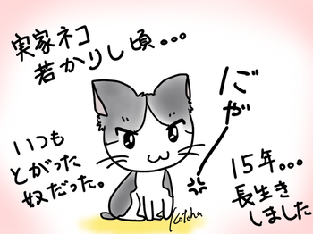 10741abc.png