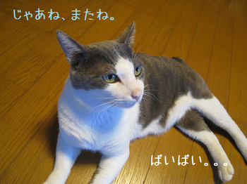 IMG_4481.png