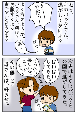 8111c73a.gif