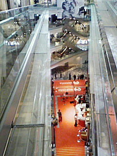 NEC_0081.JPG