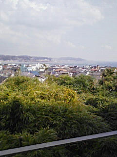 NEC_0110.JPG