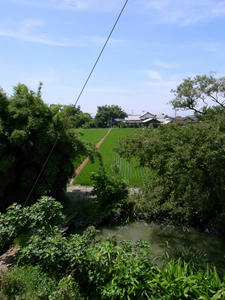 1b65e542.jpg