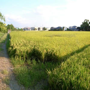 R0030137_R.JPG