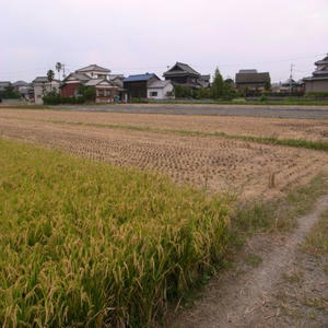 R0030325_R.JPG