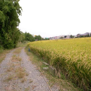 R0030326_R.JPG
