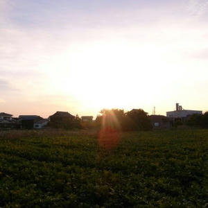 R0030401_R.JPG