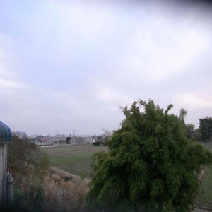 R0048982_R.JPG