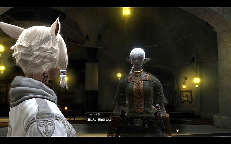 コットンタバード［ＧＮ］+1