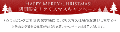 クリスマスキャンペーン実施中