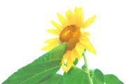 070703_01.jpg