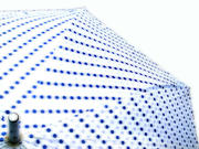 070710_01.jpg