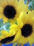070824_01.jpg