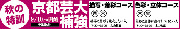070910_01.gif