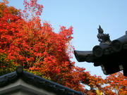 071010_01.jpg