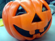 071030_01.jpg