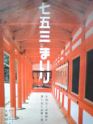 071109_01.jpg