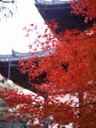 071115_01.jpg