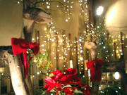 071118_01.jpg
