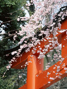 071123_01.jpg