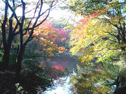 071128_02.jpg