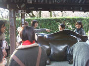 080106_05.jpg