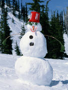 080108_01.jpg
