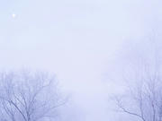 080120_01.jpg