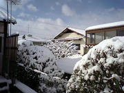 080213_01.jpg