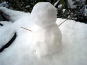 080213_02.jpg