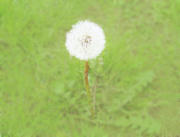 080217_01.jpg