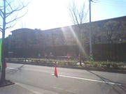 080309_02.jpg