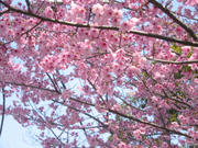 080317_01.jpg