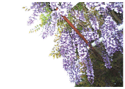 080402_01.gif