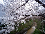 080406_01.jpg