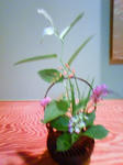 201107142115000.jpg