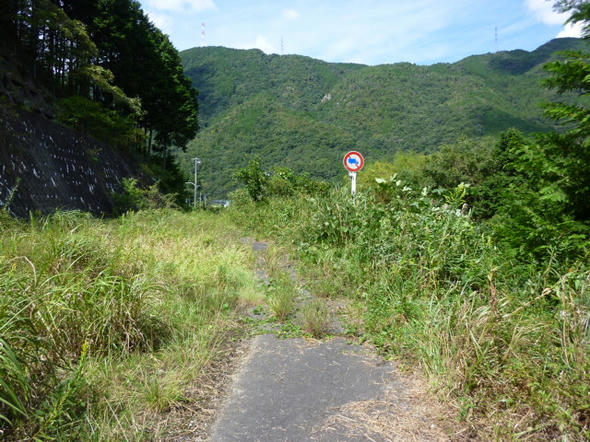 P1030486.JPG