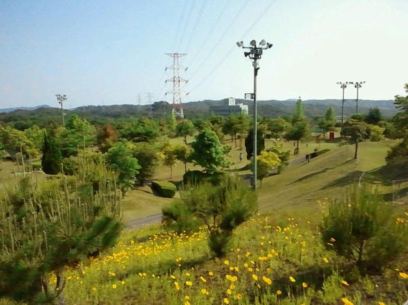 2012053022050000.jpg