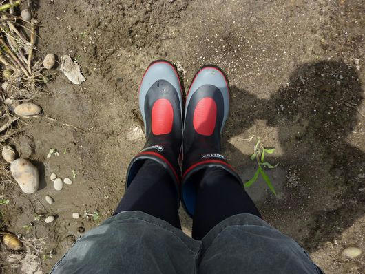 P1030850.JPG