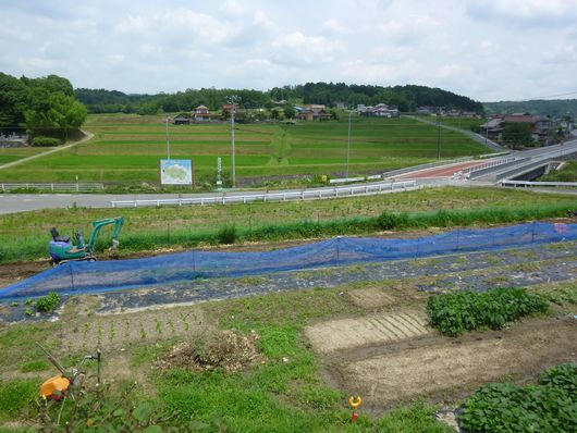 P1030890.JPG