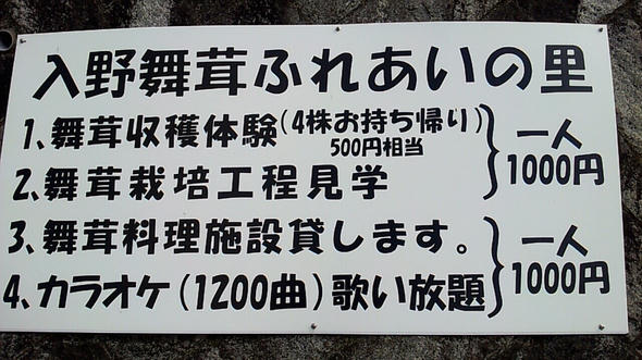 449188697741.jpg