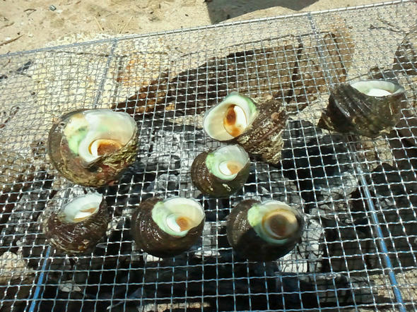 2012081921130000.jpg